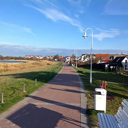 Stranddistel *
